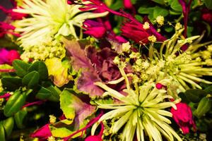 bouquet of nice colorful flowers in the garden photo