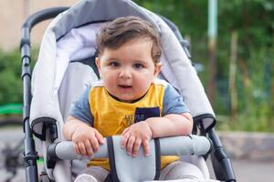 baby boy in stroller in the garden photo