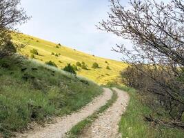 spring scenery, nature in spring photo