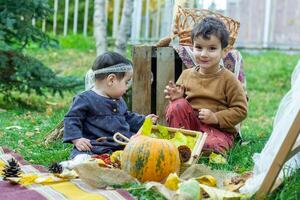 el pequeño niños son jugando en el parque con frutas, pequeño niña y chico en el otoño parque foto