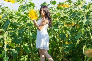 pretty young woman in the nature, summer scenery photo