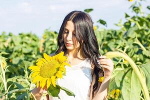 pretty young woman in the nature, summer scenery photo