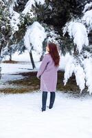 pretty young woman in winter park, red haired girl in the park in winter photo