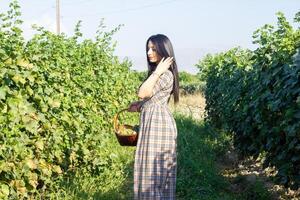 pretty young woman in the nature photo