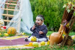 the little child playing in the park with fruits, little girl in the autumn park photo