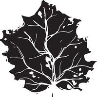 Hand drawn black leaves. Vintage leaf, great design for any purposes. vector