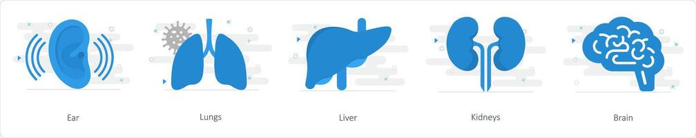 A set of 5 Mix icons as ear, lungs, liver vector