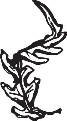 Sketch drawing of a fern in black and white outline. Vintage fern, great design for any purposes.