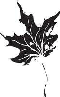 Sketch drawing of a maple leaf in black and white outline. Vintage maple, great design for any purposes. vector