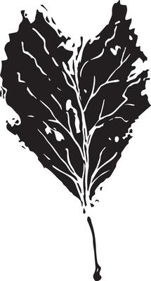 Hand drawn black leaves. Vintage leaf, great design for any purposes.