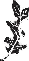 Sketch drawing of a oak leaf in black and white outline. Vintage oak, great design for any purposes. vector