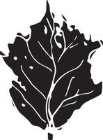 Sketch drawing of a birch leaf in black and white outline. Vintage combination of birch leaf. vector