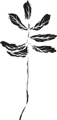 Rowan in hand drawn style on black background. Vintage line art closeup.
