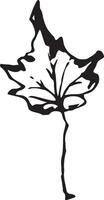 Sketch drawing of a maple leaf in black and white outline. Vintage maple, great design for any purposes. vector