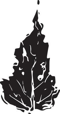 Sketch drawing of a birch leaf in black and white outline. Vintage combination of birch leaf.