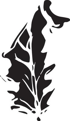 Hand drawn black leaves. Vintage leaf, great design for any purposes.