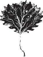 Hand drawn black leaves. Vintage leaf, great design for any purposes. vector