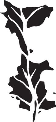 Hand drawn black leaves. Vintage leaf, great design for any purposes.