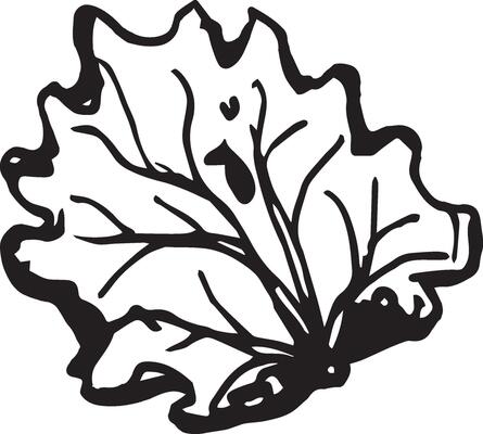Hand drawn black leaves. Vintage leaf, great design for any purposes.