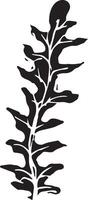 Sketch drawing of a fern in black and white outline. Vintage fern, great design for any purposes. vector