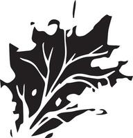 Hand drawn black leaves. Vintage leaf, great design for any purposes. vector