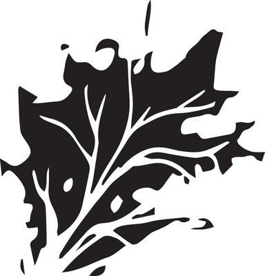 Hand drawn black leaves. Vintage leaf, great design for any purposes.