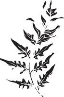 Sketch drawing of a fern in black and white outline. Vintage fern, great design for any purposes. vector