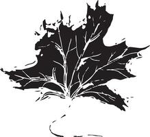 Sketch drawing of a maple leaf in black and white outline. Vintage maple, great design for any purposes. vector