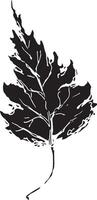 Sketch drawing of a birch leaf in black and white outline. Vintage combination of birch leaf. vector