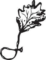 Hand drawn black leaves. Vintage leaf, great design for any purposes. vector