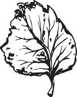 Hand drawn black leaves. Vintage leaf, great design for any purposes. vector