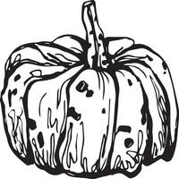 mano dibujado calabaza para decorativo diseño. Clásico calabaza. vector