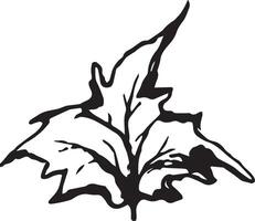 Sketch drawing of a maple leaf in black and white outline. Vintage maple, great design for any purposes. vector