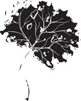 Hand drawn black leaves. Vintage leaf, great design for any purposes. vector