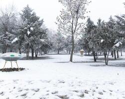 foggy landscape with snow, snow covered trees, cold winter scenery photo