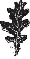 Sketch drawing of a oak leaf in black and white outline. Vintage oak, great design for any purposes. vector