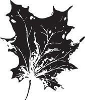 Sketch drawing of a maple leaf in black and white outline. Vintage maple, great design for any purposes. vector