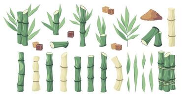 dibujos animados azúcar caña. dulce tallos de Caña de azúcar jugo, orgánico crudo material para azúcar producción, agricultura plantación y bio industria concepto. vector conjunto