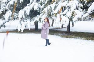 pretty young woman in winter park, red haired girl in the park in winter photo