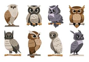 Owls collection. Cartoon owl face and eyes, flying predator bird heads with beak, eyes and feathers, wild zoo ornithology avatars. Vector flat set