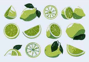 Sliced lime set. Cartoon whole organic citrus fruits, lemon and lime peel segments in flat style, healthy diet elements. Vector isolated collection