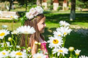 pretty little girl in the nature, girl in summer photo