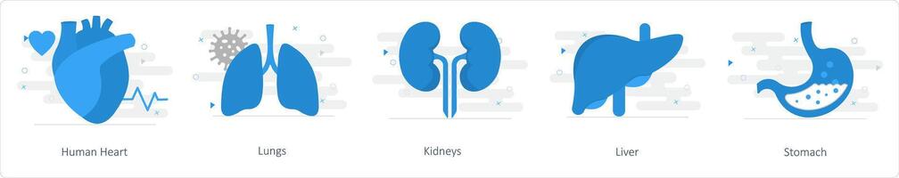 un conjunto de 5 5 mezcla íconos como humano corazón, pulmones, riñones vector