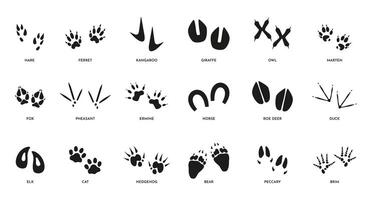 Animal footsteps. Horse fox bear and cat paw track silhouettes, wildlife black footprint icons on white. Vector isolated collection