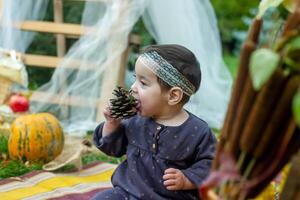 the little child playing in the park with fruits, little girl in the autumn park photo