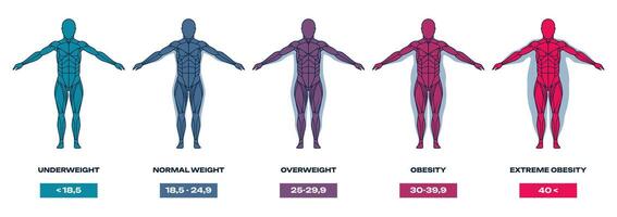 Body mass index. Human silhouette with different shapes and sizes, underweight, overweight and obese people. Mass index chart vector illustration