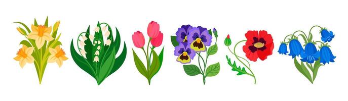 Cartoon spring wild flowers, colored floral set vector