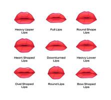 Types of woman lips. Different shapes of female mouth thin full bow-shaped downward round heavy, cartoon colorful girl sensuality symbols. Vector set