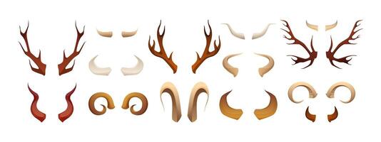animal cuernos. dibujos animados huesos cazador trofeo, pares de RAM vaca ciervo alce cornamenta plano estilo, fauna silvestre decoración concepto. vector aislado conjunto