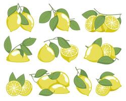 Lemon tree and flower. Cartoon sketch of lemon branches with fruits and leaves for print design, organic natural product. Vector isolated set